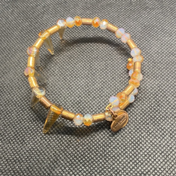 Alex and Ani Vintage 66 Beaded Depths of The Wild Spike Wrap/Good Condition - Picture 2 of 4